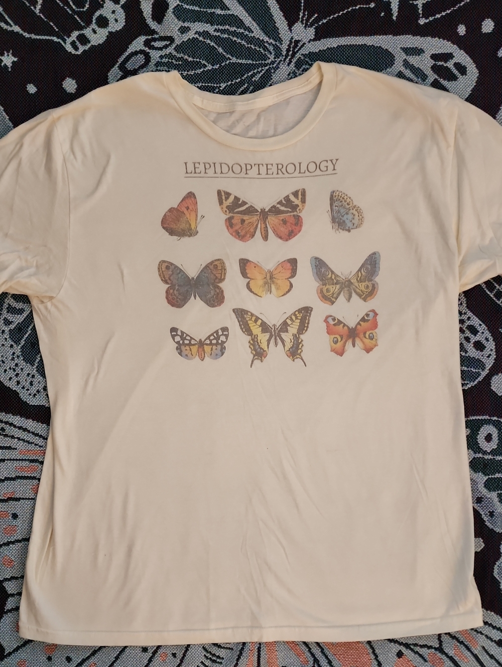 PacSun Oversized 'Lepidopterology' Butterfly Graphic Tee – Size Large